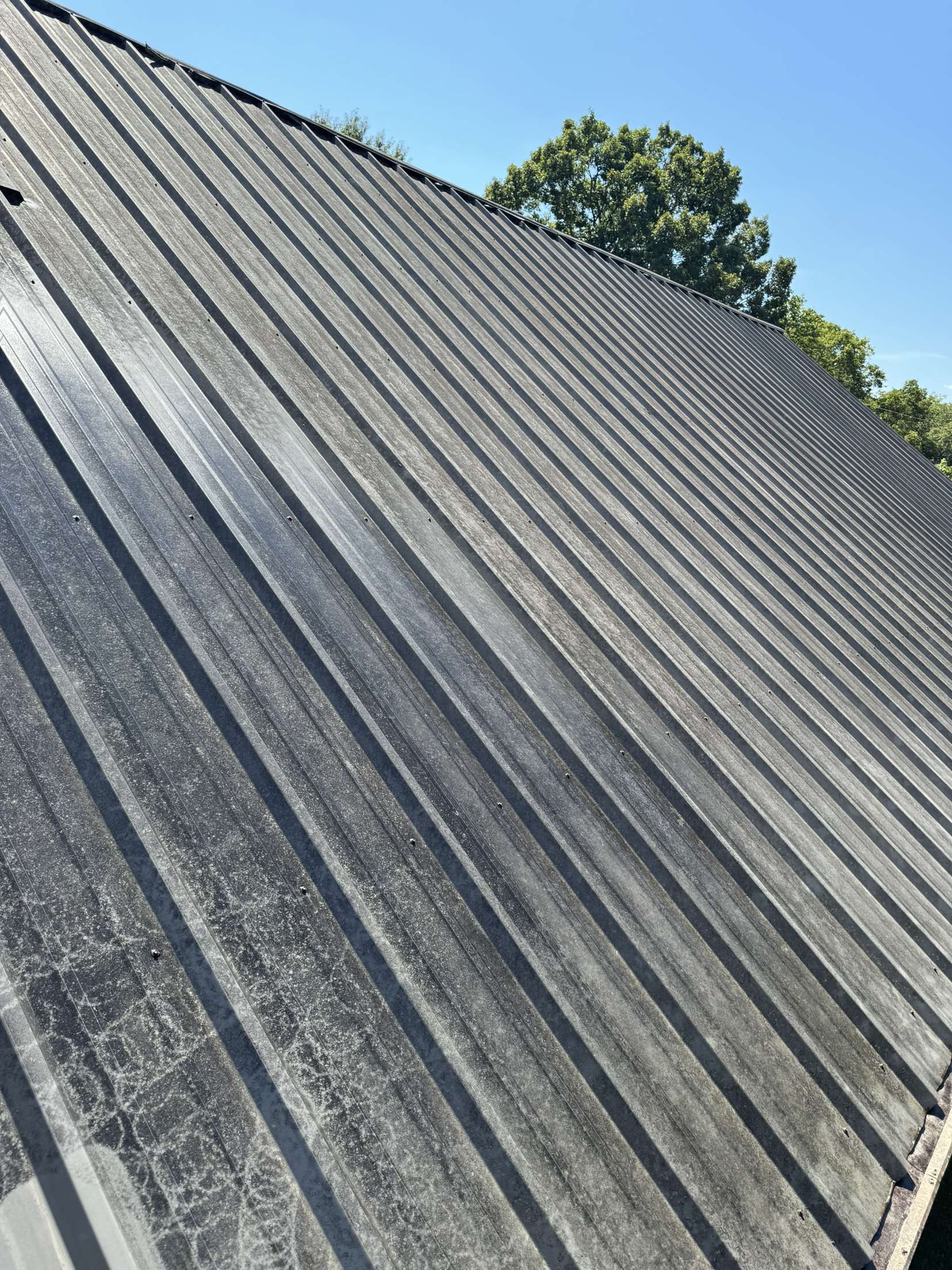 Dirty Roof